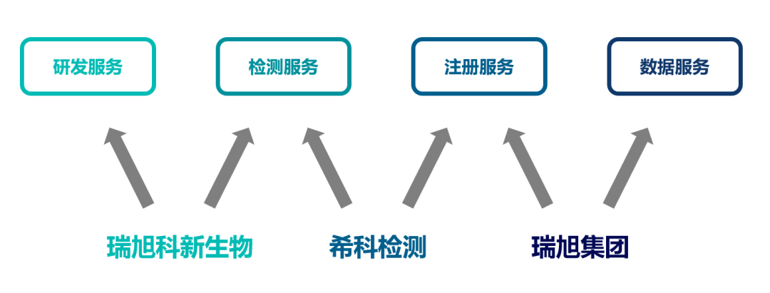 瑞旭科新生物,化妝品功效,日化品,瑞旭集團,?？茩z測,注冊備案